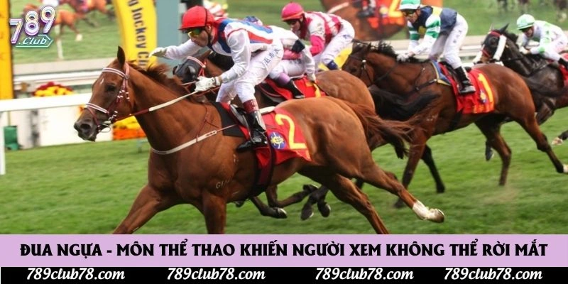 Đua Ngựa - Môn Thể Thao Khiến Người Xem Không Thể Rời Mắt